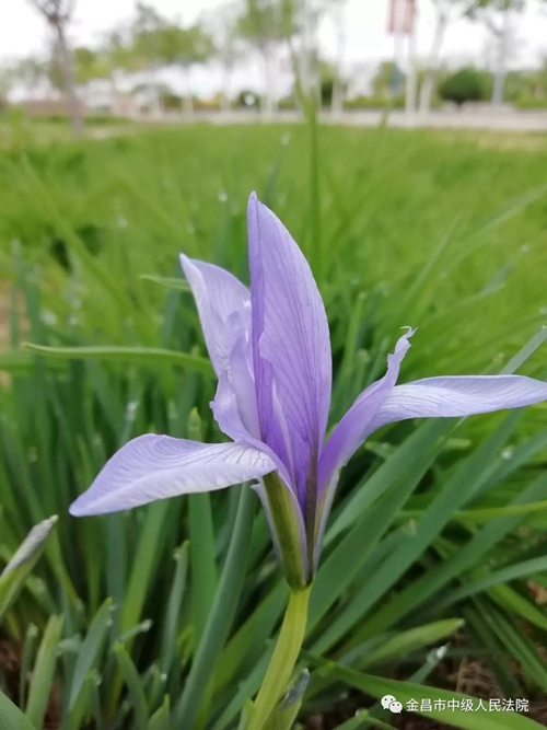 微信图片_20190514100024.jpg