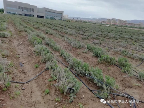 微信图片_20190514100014.jpg
