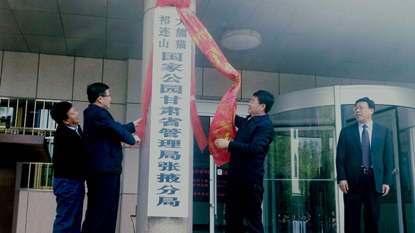 图片1_副本.png