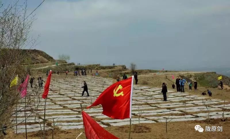 222.jpg