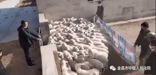 微信图片_20200327082716.jpg