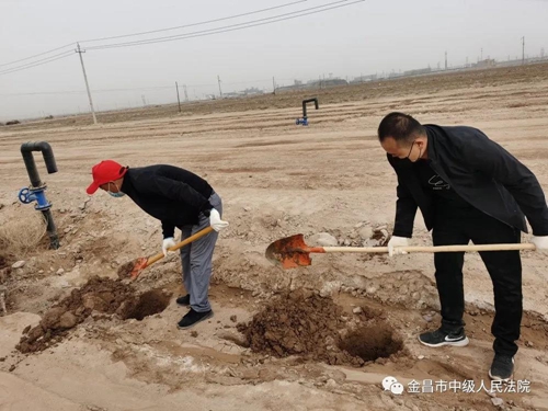 微信图片_20200417085037.jpg