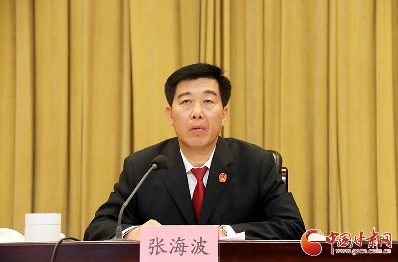 甘肃省法院党组书记、院长张海波讲话.jpg