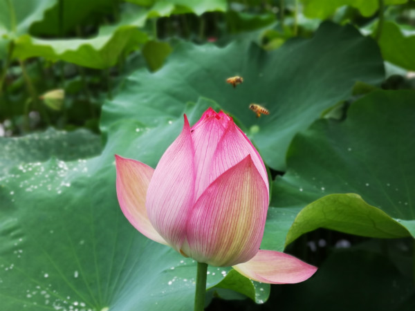 3fa4d61719aa75eeac61026513cfa78_meitu_2.jpg