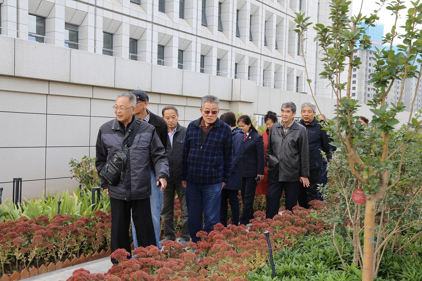 四楼花园 (3).JPG