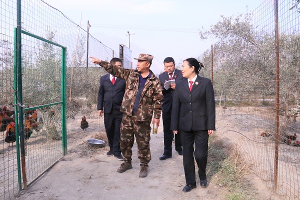 图1.JPG