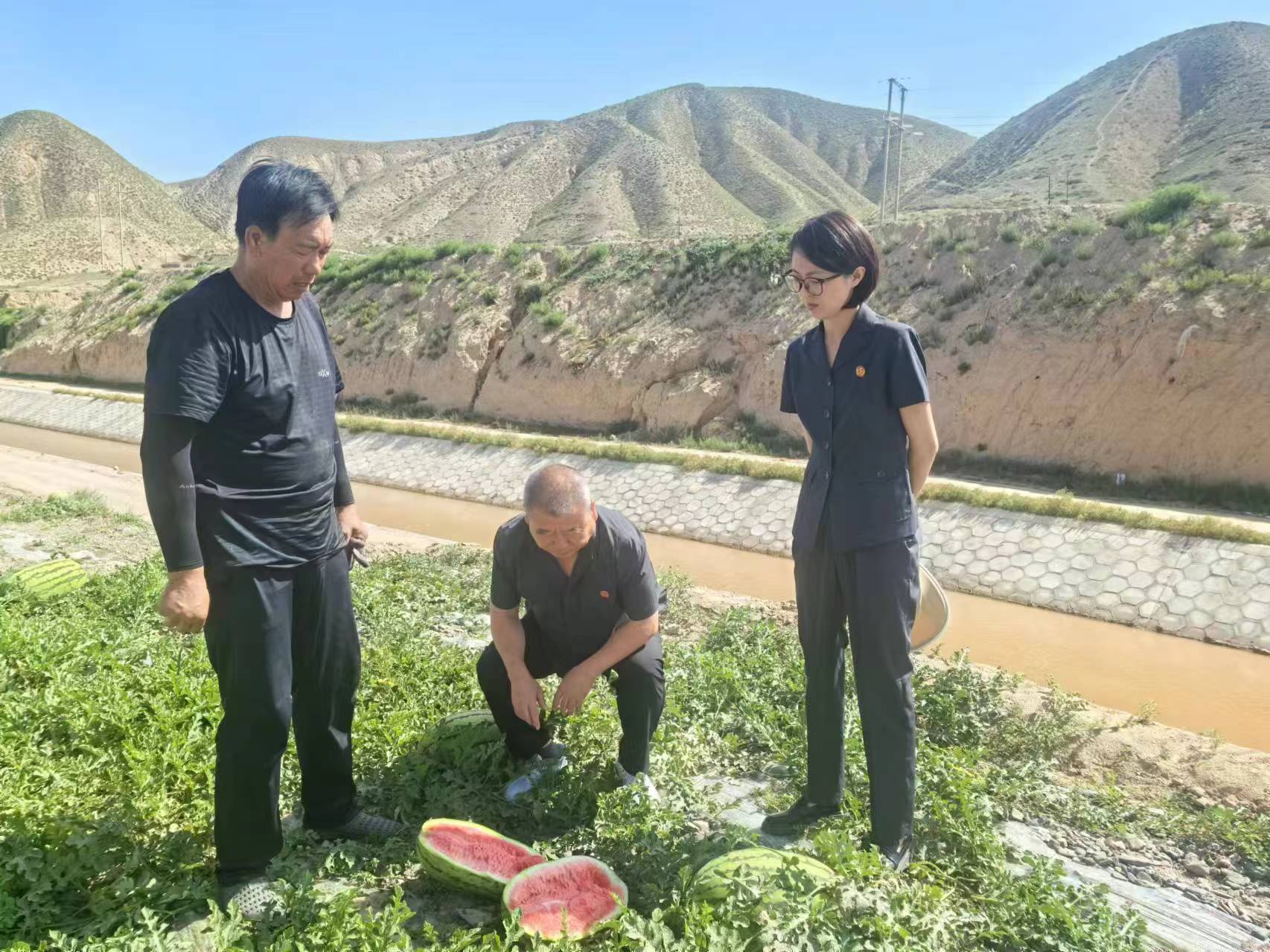 微信图片_20240724114729.jpg