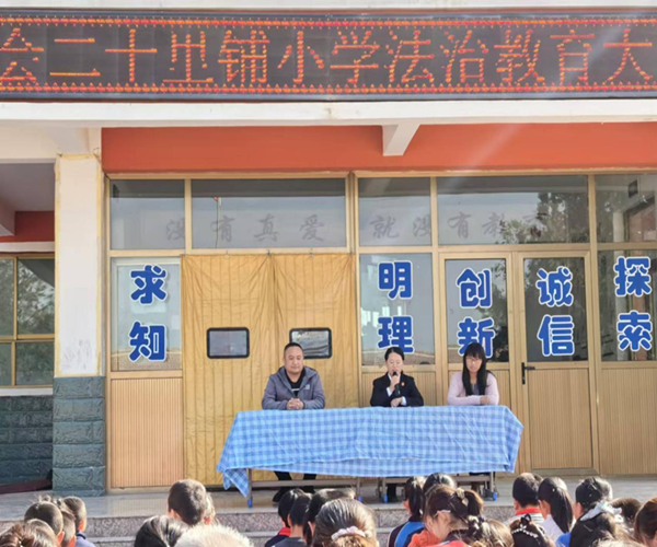 图片8_副本.png