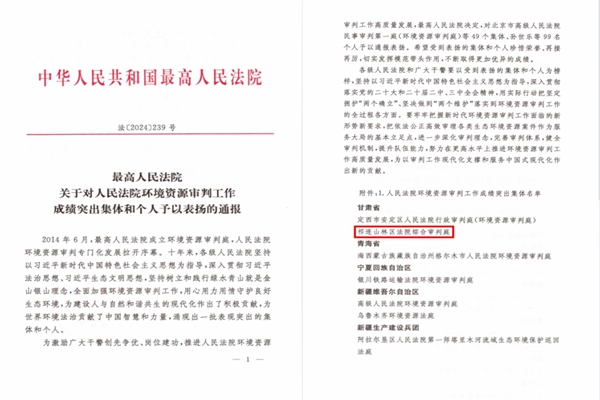 表彰文件.jpg