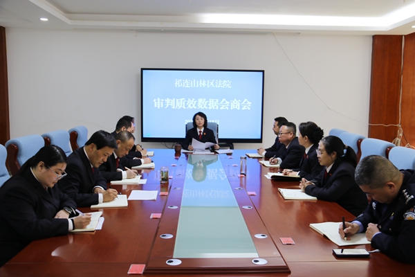 审判数据会商会.jpg
