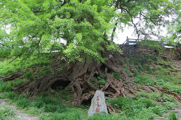 图6.JPG