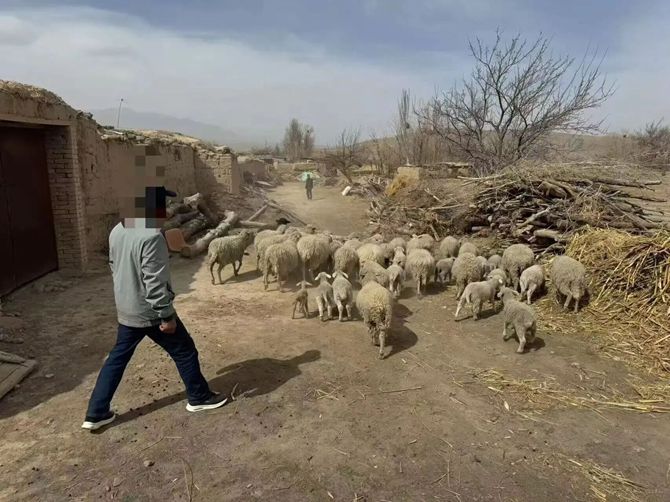 4_副本.jpg 4_副本.jpg