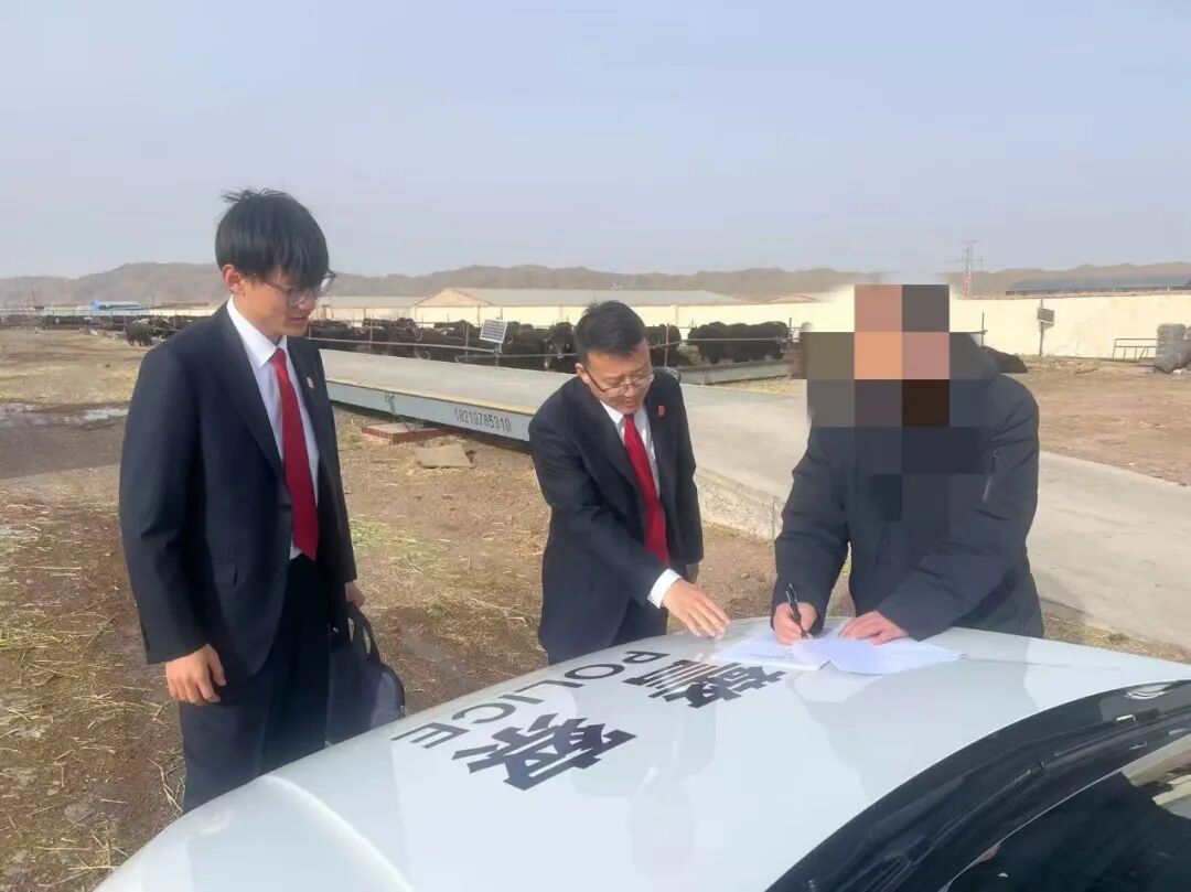 2.6以牛抵债巧解执行难题2.jpg 2.6以牛抵债巧解执行难题2.jpg