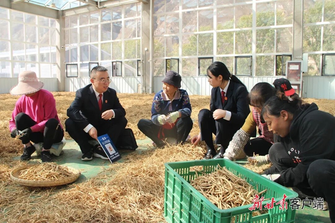 3_副本.jpg 3_副本.jpg