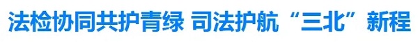 图2.webp.jpg