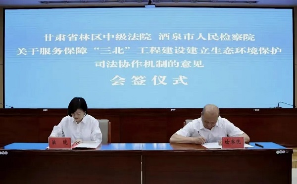 图5.webp.jpg