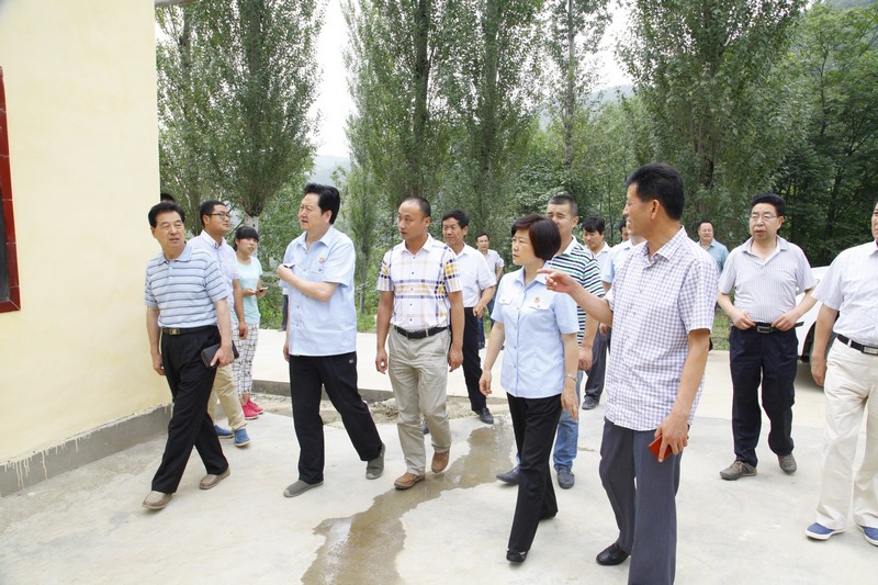 武都照片 256.jpg