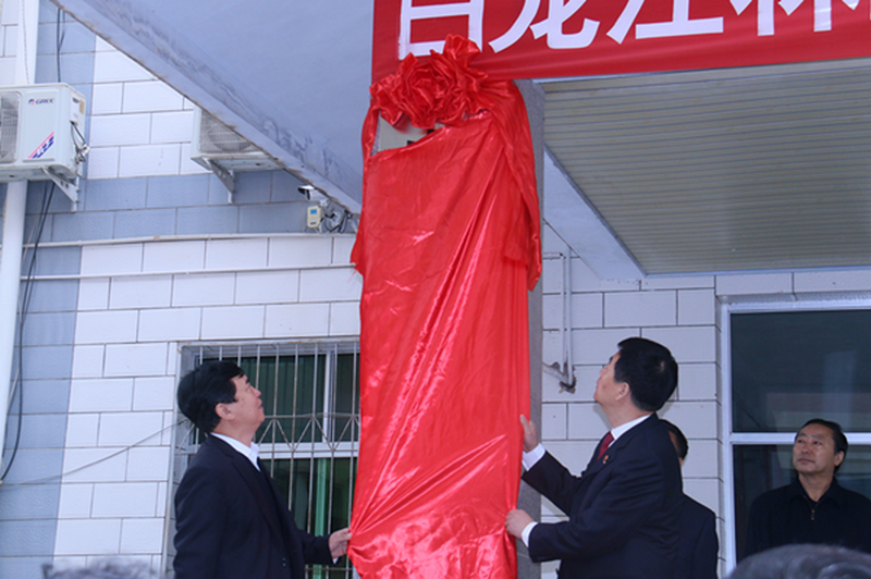 省法院党组成员、副院长马驰与白龙江林业管理局党委书记、局长李永健揭牌_副本.bmp