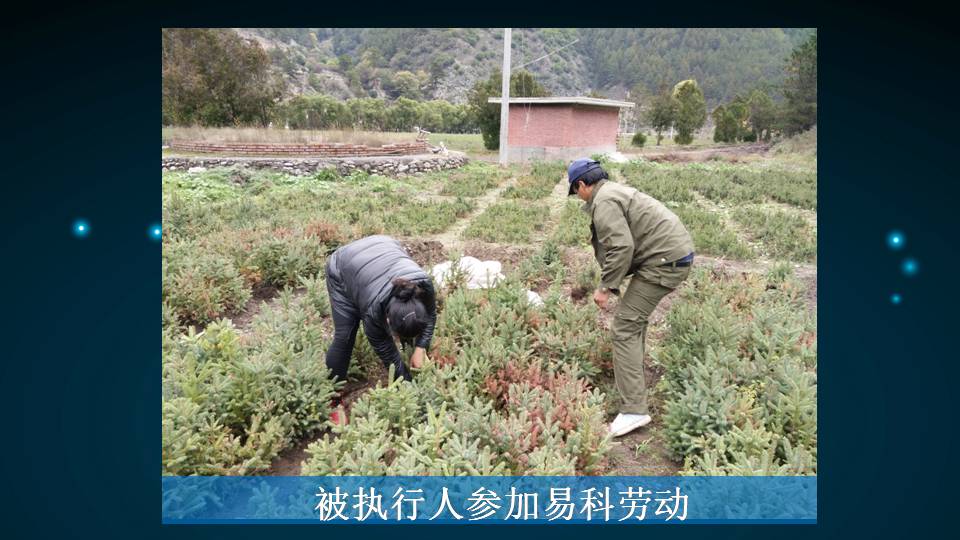 幻灯片20.jpg