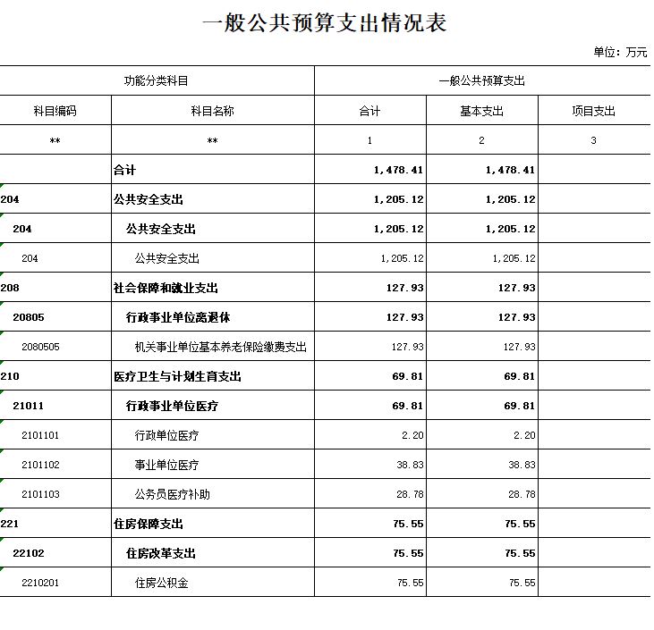 一般公共预算支出情况表.jpg