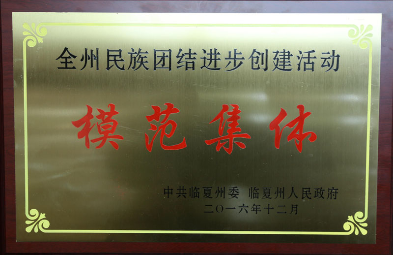 1J7A6251_爱奇艺.jpg