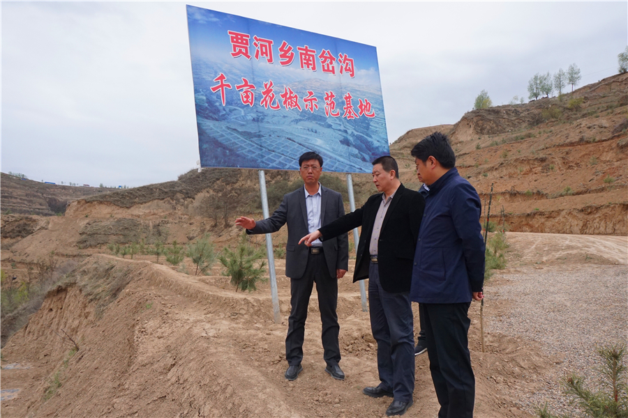 3.察看静宁县贾河乡千亩花椒示范基地建设.jpg